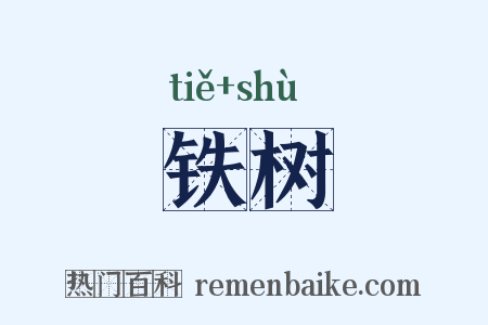 铁树是什么意思的图片